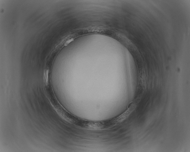 X0000081370070200702020216