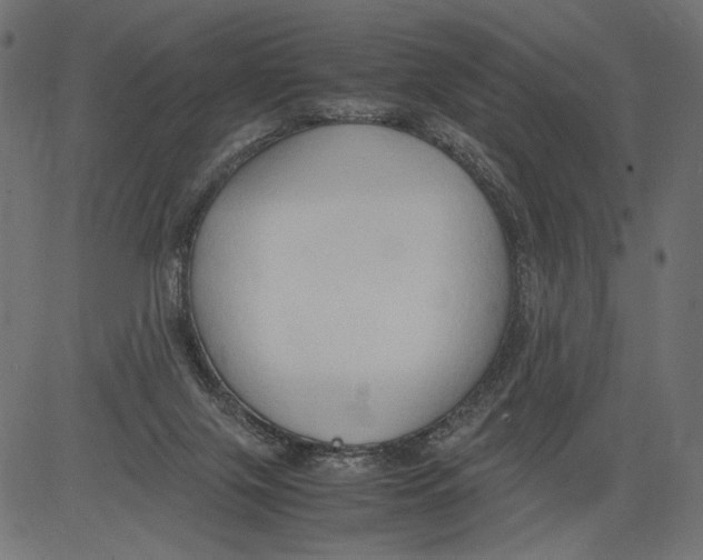 X0000081370071200702020216