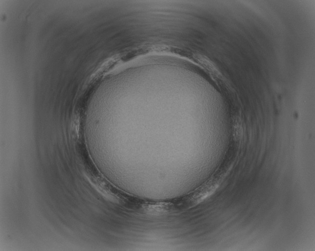 X0000081370072200702020216