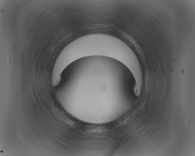 X0000081370073200702020216