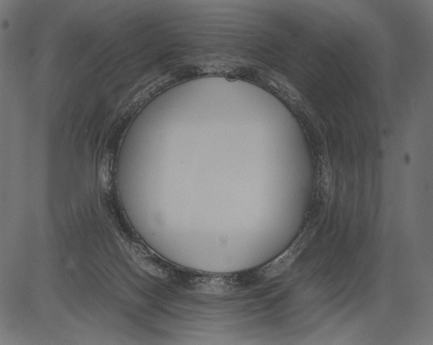 X0000081370074200702020216