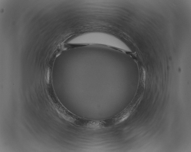 X0000081370076200702020216