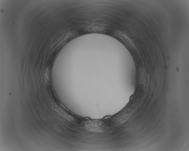 X0000081370077200702020216