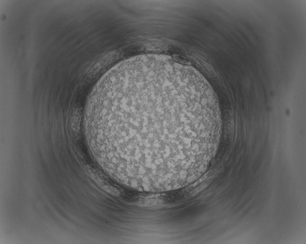 X0000081370078200702020216