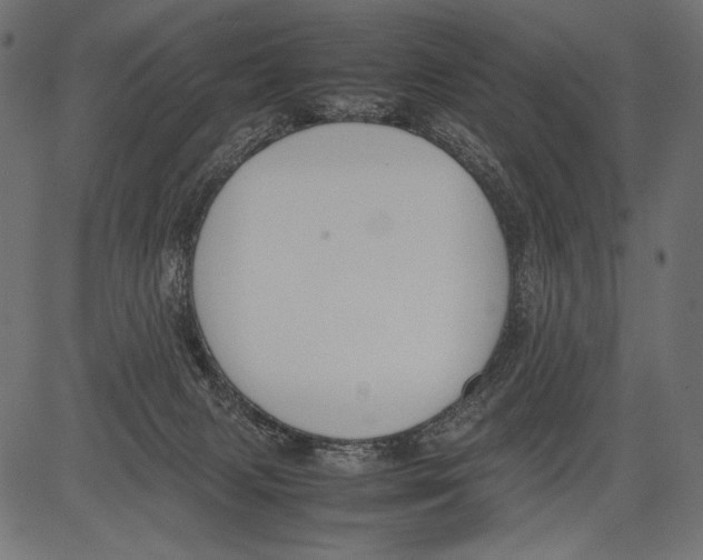 X0000081370079200702020216