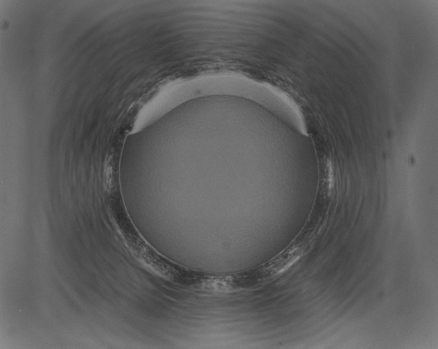 X0000081370080200702020216