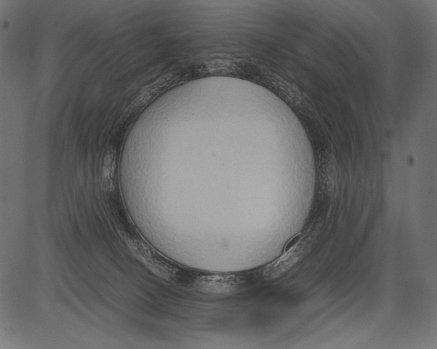 X0000081370082200702020216