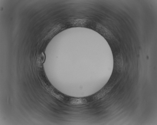 X0000081370083200702020216