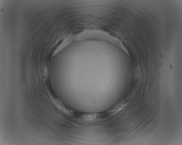 X0000081370084200702020216