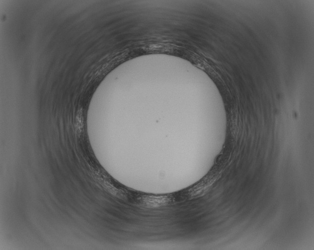 X0000081370085200702020216