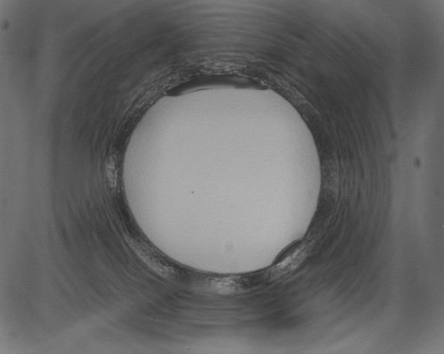 X0000081370086200702020216