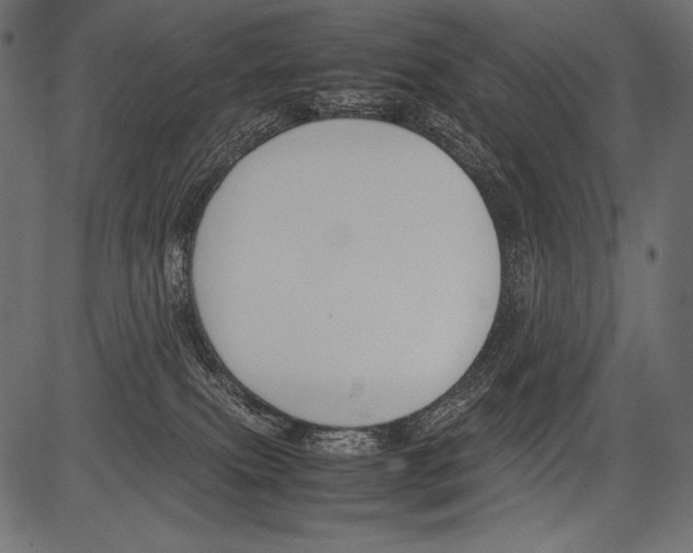 X0000081370087200702020216