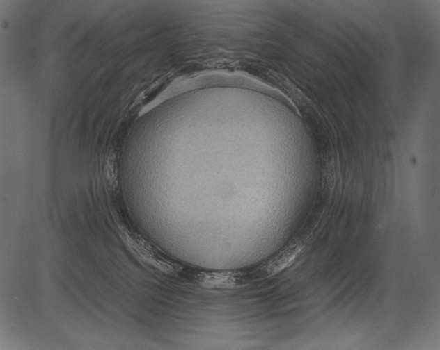 X0000081370088200702020216