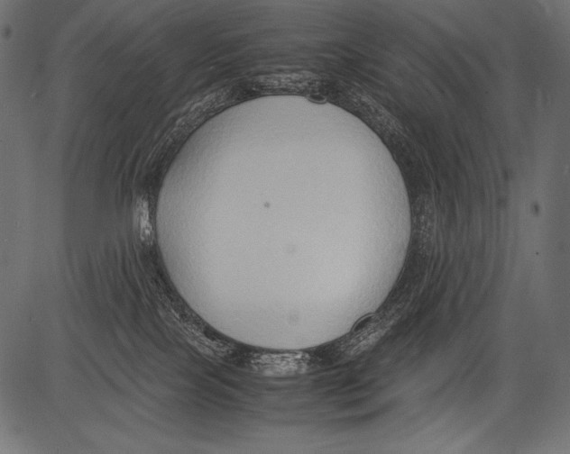 X0000081370089200702020216