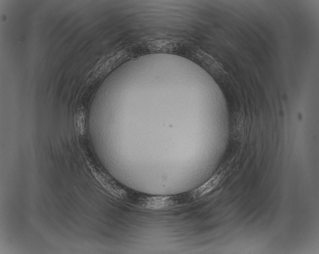 X0000081370090200702020216