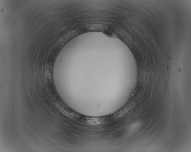 X0000081370091200702020216