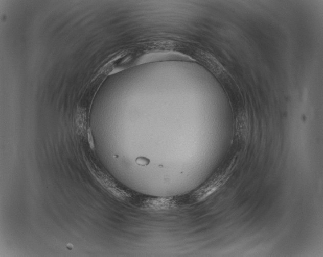 X0000081370092200702020216