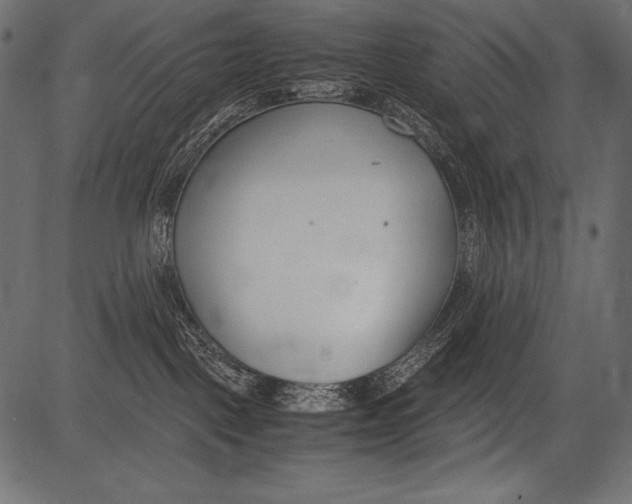 X0000081370093200702020216