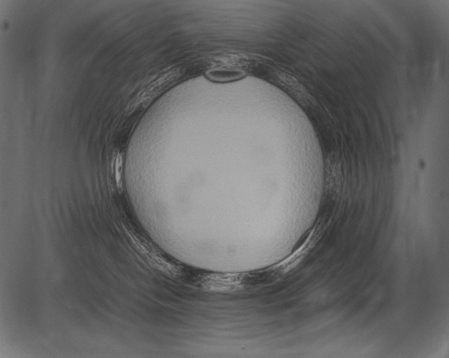 X0000081370094200702020216