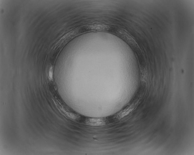 X0000081370095200702020216