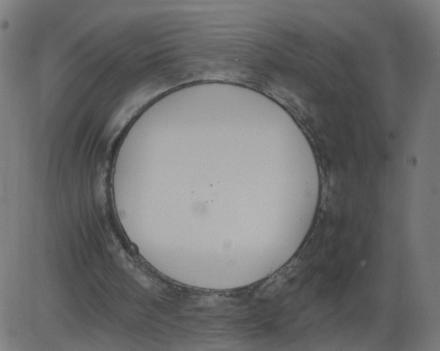 X0000081370098200702020215