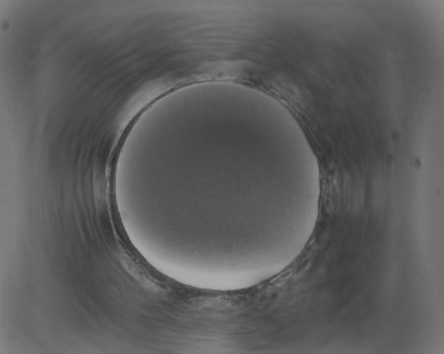 X0000081370100200702020215