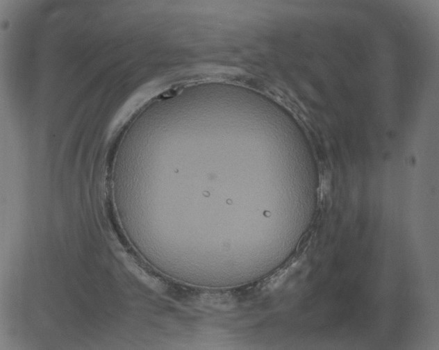 X0000081370101200702020215