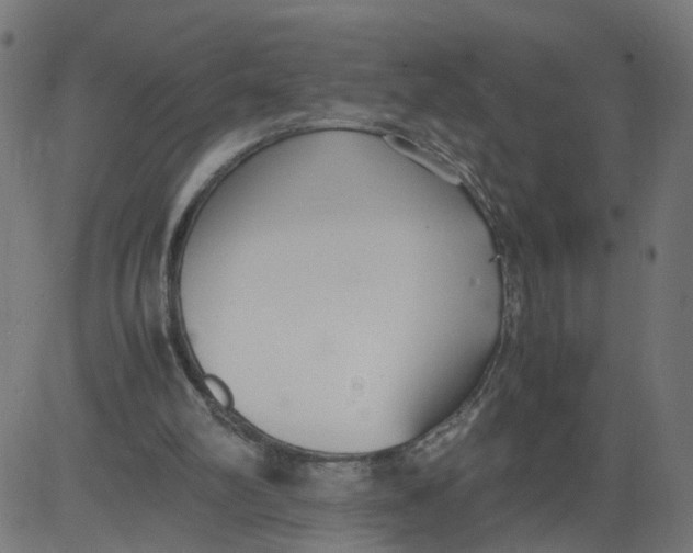 X0000081370102200702020215