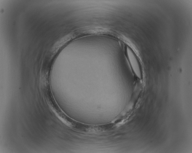 X0000081370105200702020215