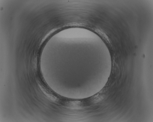 X0000081370108200702020215