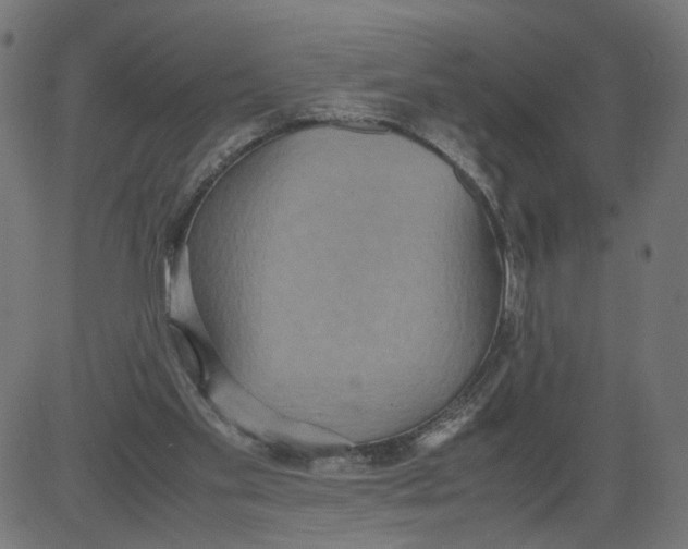 X0000081370109200702020215