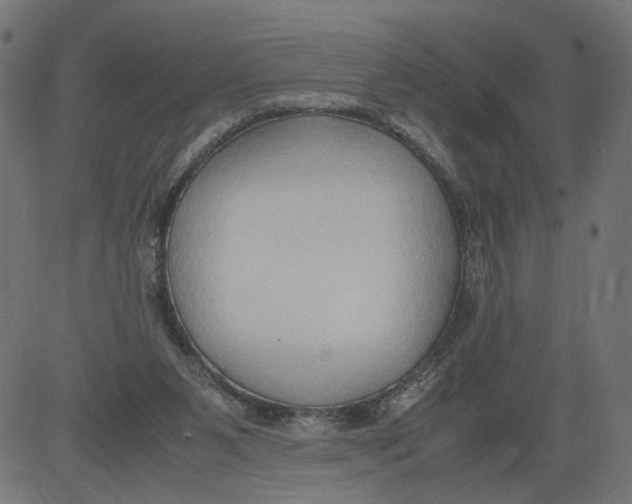 X0000081370111200702020215