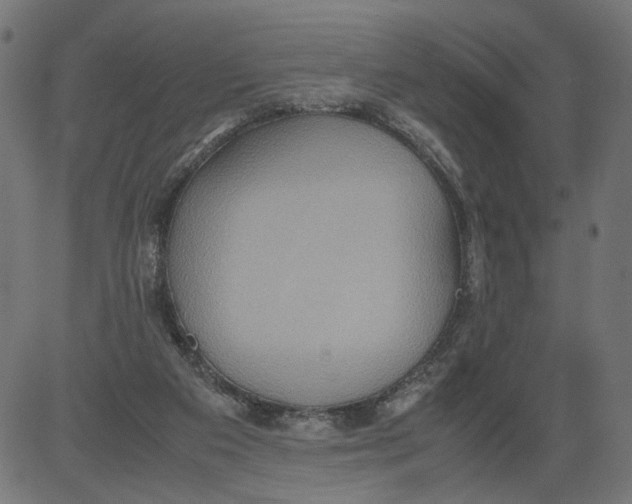 X0000081370113200702020215