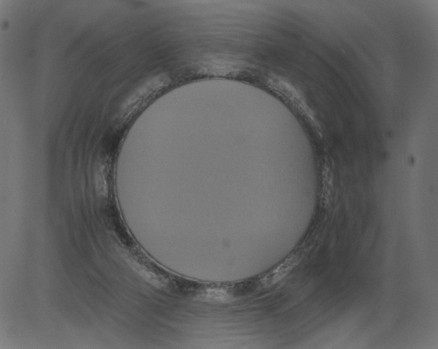 X0000081370114200702020215