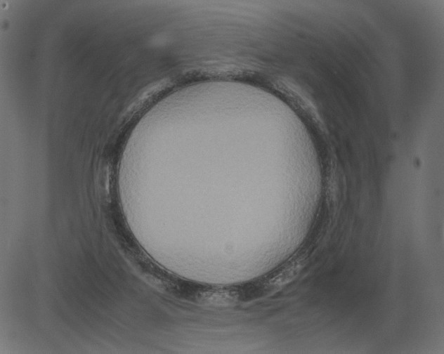 X0000081370115200702020215