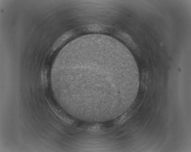 X0000081370116200702020215