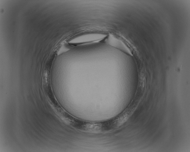 X0000081370117200702020215