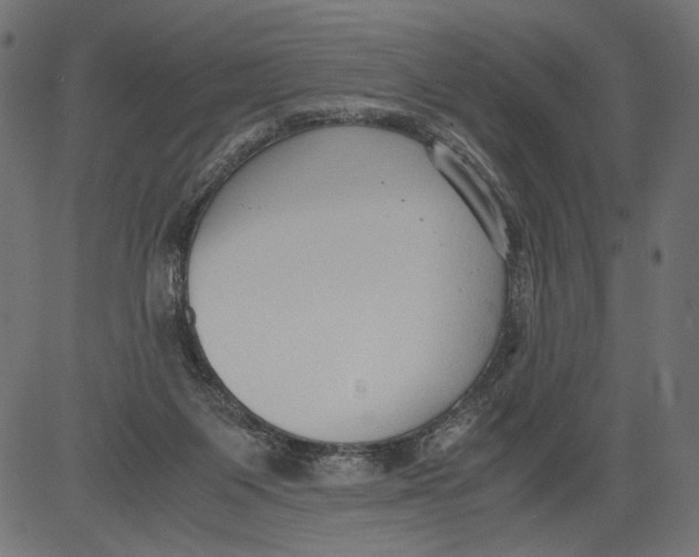 X0000081370119200702020215