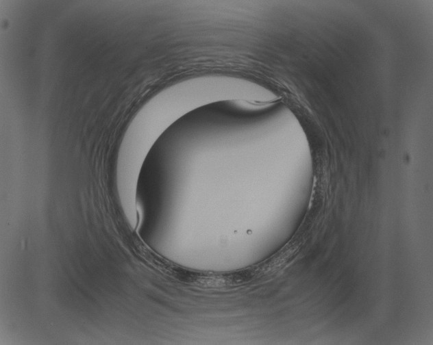 X0000081370123200702020215