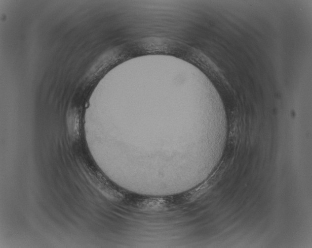 X0000081370124200702020215