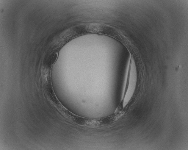 X0000081370125200702020215