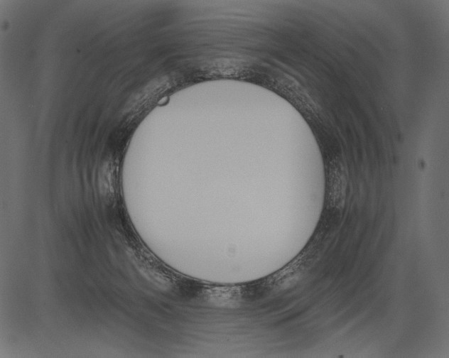 X0000081370126200702020215