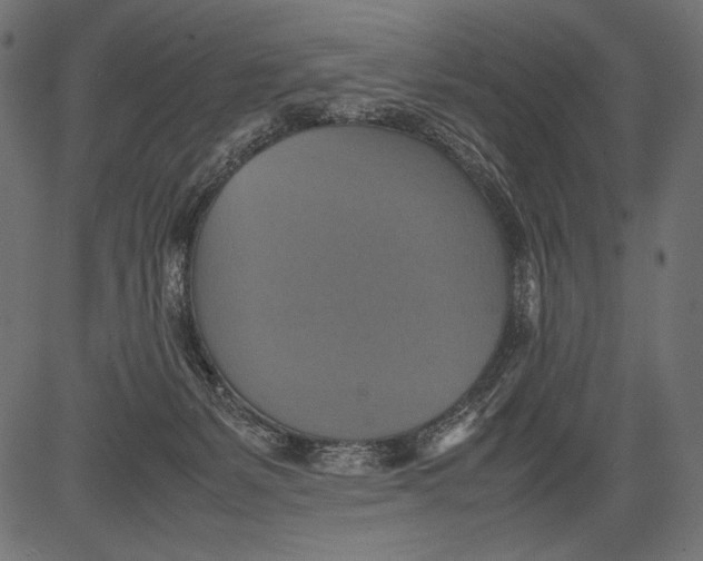 X0000081370127200702020215