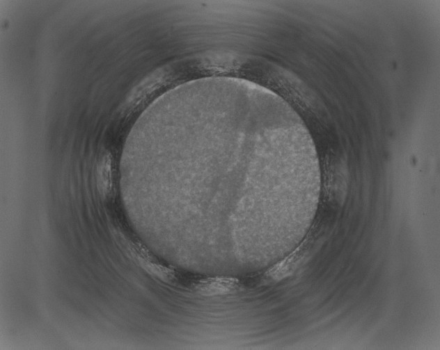 X0000081370128200702020215