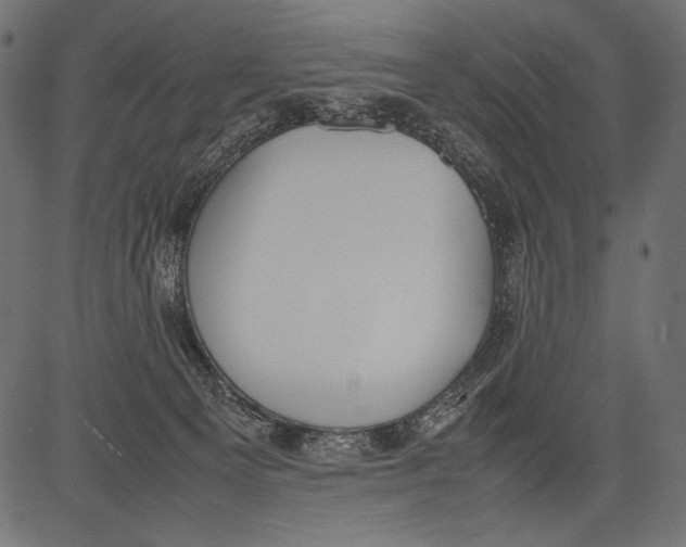 X0000081370129200702020215