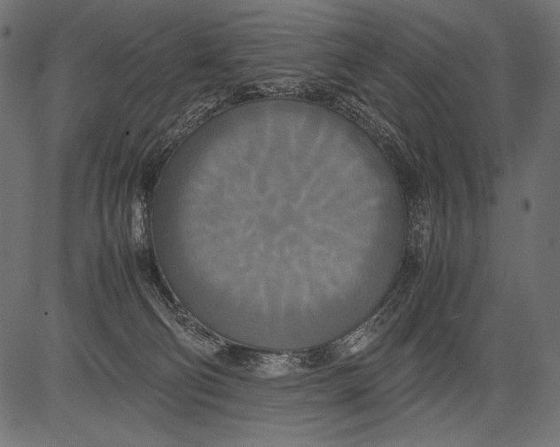 X0000081370130200702020215