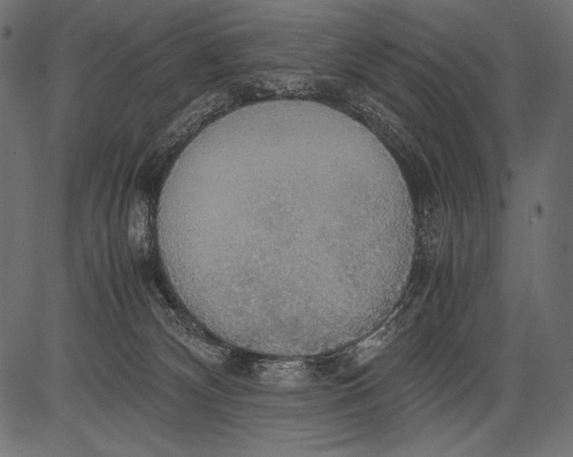 X0000081370132200702020215