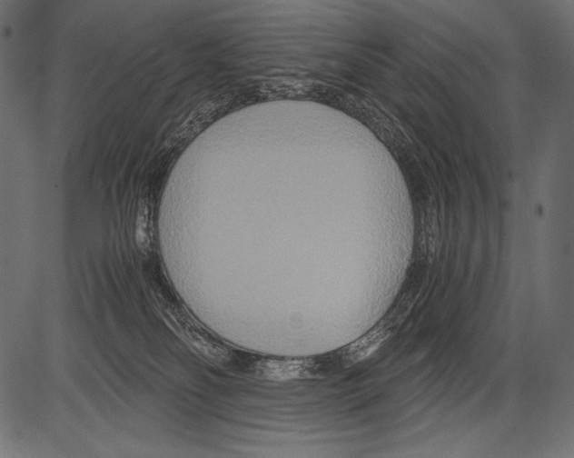 X0000081370134200702020215