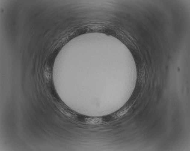 X0000081370135200702020215