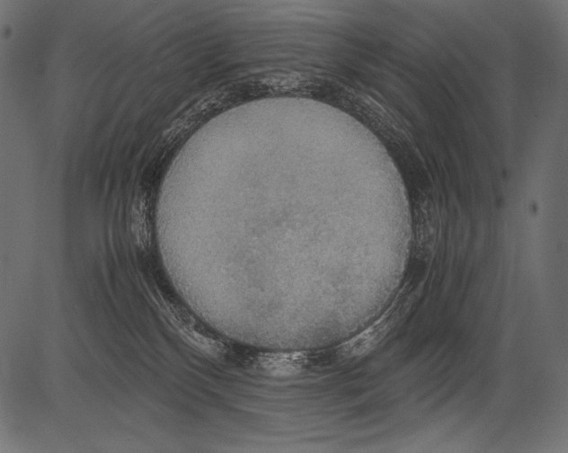 X0000081370136200702020214